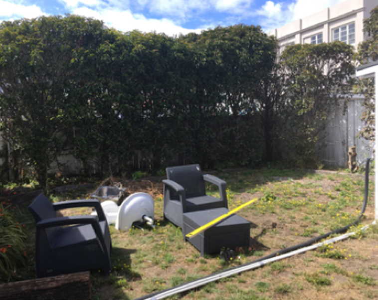 Overgrown coastal backyard before landscaping